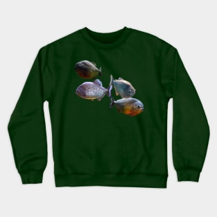 Red-Bellied Piranha Crewneck Sweatshirt